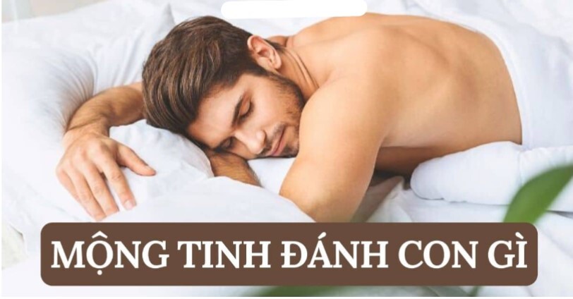 Nằm mơ thấy đánh con gì dễ trúng xổ số – xổ số?