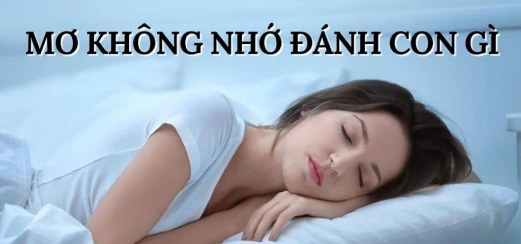 Nằm mơ thấy không nhớ đánh con gì dễ trúng xổ số – xổ số?